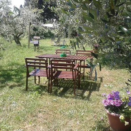 Le Valli Lavanda