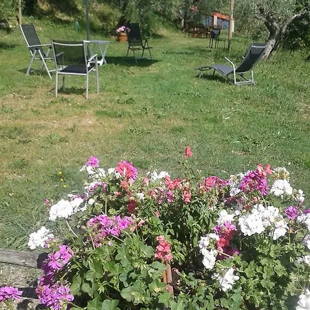 Le Valli Lavanda San Casciano in Val di Pesa