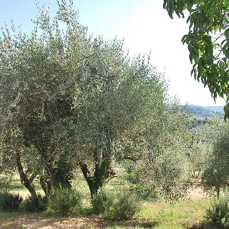 Apartment Le Valli Lavanda