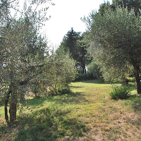 Apartment Le Valli Lavanda *