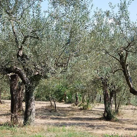 Le Valli Lavanda San Casciano in Val di Pesa