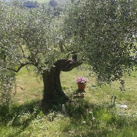 Le Valli Lavanda San Casciano in Val di Pesa