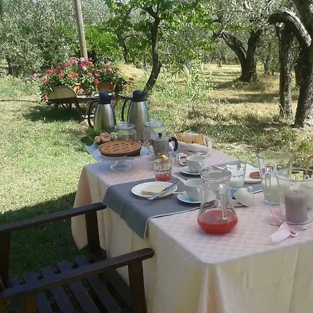 Apartment Le Valli Lavanda San Casciano in Val di Pesa